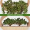 2-Pack Artificial Succulent Hanging Plants – 12.2" Fake String of Pearls in Pots with 8.3" Hanging Lanyard for Indoor & Outdoor Wall Decor (Wood Color)